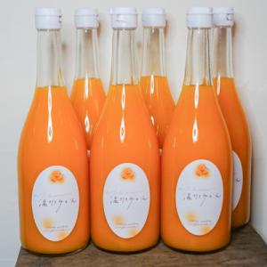 ふるさと納税 松山市 温州みかんジュース 720ml × 6本 果汁100%ストレートジュース