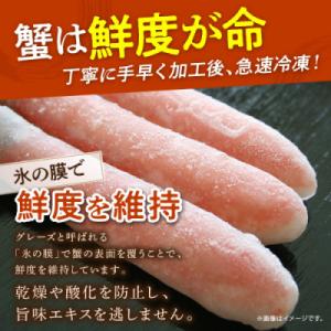 ふるさと納税 京丹後市 鮮度抜群!お刺身でも食...の詳細画像3