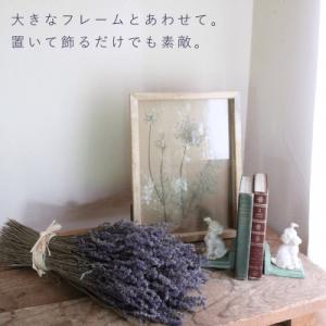 ふるさと納税 上富良野町 富良野 花七曜 富良...の詳細画像2