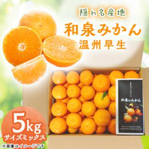 ふるさと納税 和泉市 隠れ名産地　和泉みかん温州早生(小玉中玉大玉サイズミックス)　5kg