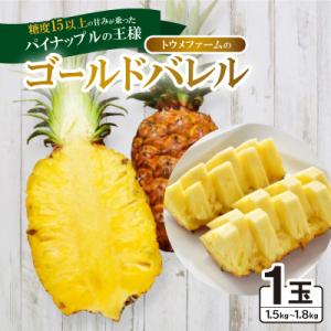 ふるさと納税 本部町 【2027年6月下旬から順次発送】トウメファームのゴールドバレル1玉