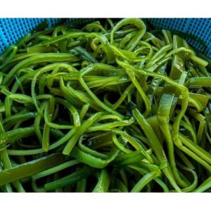 ふるさと納税 藍住町 ごはんが進む!鳴門産茎わ...の詳細画像1