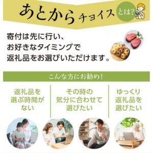 ふるさと納税 白川村 ＼あとから選べる/オンラ...の詳細画像2