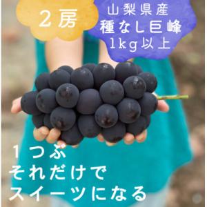 ふるさと納税 山梨市 巨峰ぶどう(種なし) 　2房　1kg 以上　産地直送　山梨県山梨市牧丘産