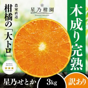 ふるさと納税 八幡浜市 【訳あり】星乃せとか 柑橘の大トロ(3kg)【C45-87】