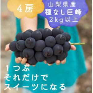ふるさと納税 山梨市 巨峰ぶどう(種なし) 2k...の商品画像