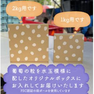 ふるさと納税 山梨市 巨峰ぶどう(種なし) 2...の詳細画像3