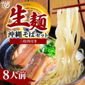 ふるさと納税 糸満市 沖縄そば 生麺 食べ比べ 定番 欲張り 8人前セット(三枚肉 付き)【伝統の味】