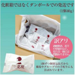 ふるさと納税 一関市 【訳あり】北国のいちご大...の詳細画像3