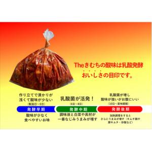 ふるさと納税 太田市 【武井のお漬物】Theき...の詳細画像2