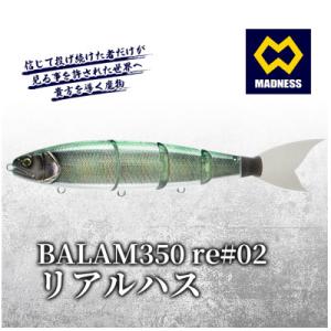 ふるさと納税 京田辺市 BALAM350RPS ...の商品画像