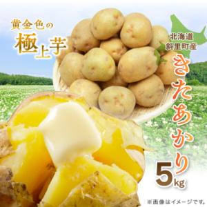 ふるさと納税 斜里町 知床の大自然が育む黄金色の極上芋　きたあかり　5kg