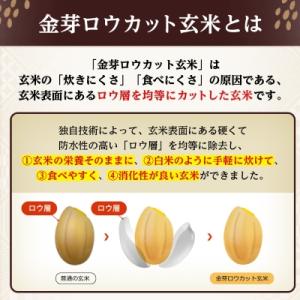 ふるさと納税 坂戸市 金芽ロウカット玄米ごはん...の詳細画像2