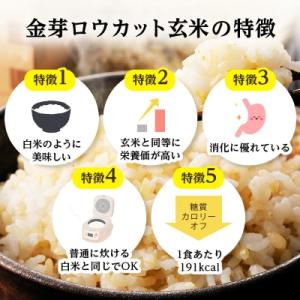 ふるさと納税 坂戸市 金芽ロウカット玄米ごはん...の詳細画像3