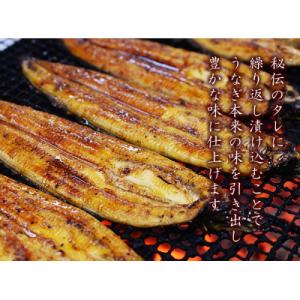 ふるさと納税 鹿屋市 うなぎ問屋の厳選! 備長...の詳細画像1