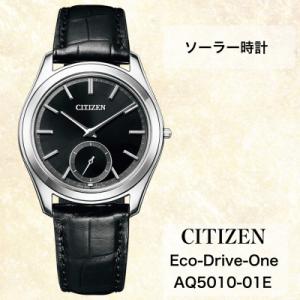 ふるさと納税 飯田市 シチズンの腕時計　メンズ　エコ・ドライブワン　AQ5010-01E