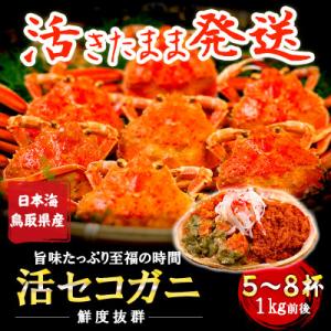 ふるさと納税 智頭町 【新物とれたて】せこがに セイコガニ 活生 姿 約1kg 5〜8枚 松葉ガニの...