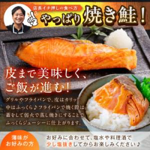 ふるさと納税 京丹後市 【訳あり・不揃い】お手...の詳細画像3