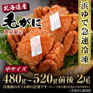 ふるさと納税 白老町 【浜ゆで自社タグ付】北海道産ボイル毛ガニ480g〜520g前後×2尾 冷凍