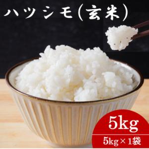 ふるさと納税 羽島市 令和7年産　岐阜県産ハツシモ(玄米)5kg  国産 米