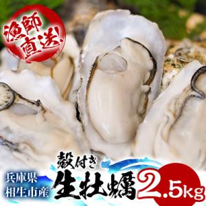 ふるさと納税 相生市 ★先行予約★殻付き生牡蠣 2.5kg【漁師直送!】