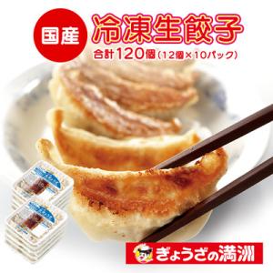 ふるさと納税 川越市 冷凍生餃子10パック(120個)　ぎょうざの満洲
