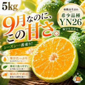 ふるさと納税 海南市 YN26 極早生みかん 和歌山生まれの幻のみかん!希少柑橘 5kg 2S〜3S...