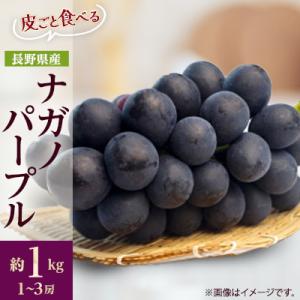 ふるさと納税 中野市 【2026年先行受付】フルーツ王国信州産地直送　皮ごと食べられるナガノパープル...