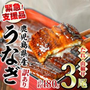 ふるさと納税 東串良町 【緊急支援品】《訳あり・...の商品画像