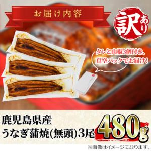 ふるさと納税 東串良町 【緊急支援品】《訳あり...の詳細画像3