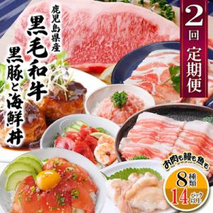 ふるさと納税 枕崎市 定期便2回配送 鹿児島県産...の商品画像
