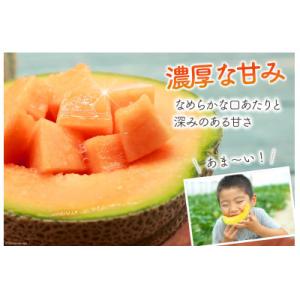 ふるさと納税 島原市 【先行受付】【令和8年6...の詳細画像2