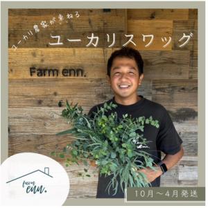 ふるさと納税 入間市 【ユーカリ農家が束ねる】摘みたてユーカリスワッグ