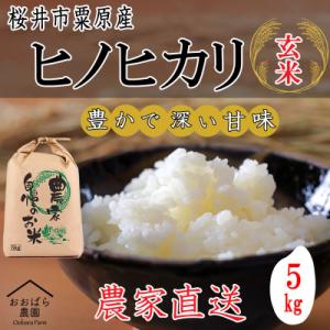 ふるさと納税 桜井市 【玄米】桜井市粟原産ヒノヒカリ  5kg