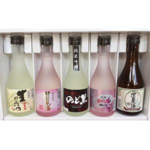 ふるさと納税 浜田市 山陰浜田の地酒を次々と味わう!「環日本海飲み比べセット」 300ml×5本