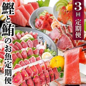 ふるさと納税 枕崎市 定期便3回配送　鰹とまぐろのお魚定期便　QQ-0005