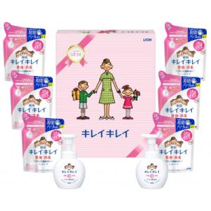 ふるさと納税 坂出市 キレイキレイギフトセットE (1箱)