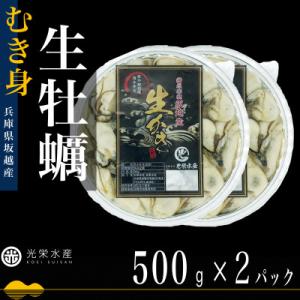 ふるさと納税 赤穂市 【生食OK】坂越かき 剥き身生牡蠣 500g×2