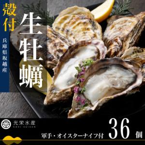 ふるさと納税 赤穂市 【生食OK】坂越かき 殻付き生牡蠣 36個 軍手・オイスターナイフ付き