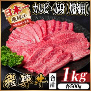 ふるさと納税 羽島市 【12/20ご入金分まで年内発送】飛騨牛 厳選カルビ・赤身(焼肉・BBQ用)1...