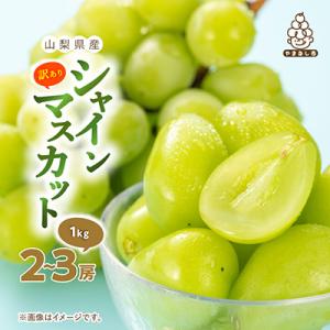 ふるさと納税 山梨市 【訳あり】 池田青果のシャインマスカット2房〜3房　1kg ふるさと納税