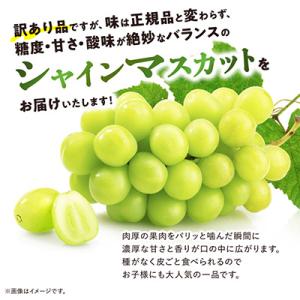 ふるさと納税 山梨市 【訳あり】 池田青果のシ...の詳細画像1