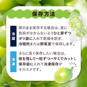 ふるさと納税 山梨市 【訳あり】 池田青果のシ...の詳細画像3