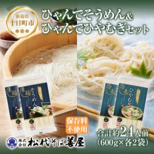 ふるさと納税 十日町市 ひゃんでそうめん・ひやむ...の商品画像