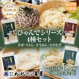 ふるさと納税 十日町市 ひゃんで乾麺4種セット(そば・うどん・そうめん・ひやむぎ)計約48人前 松代...
