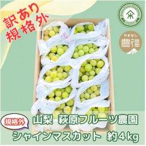 ふるさと納税 山梨市 【2026年発送】山梨・萩...の商品画像