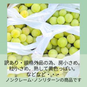 ふるさと納税 山梨市 【2026年発送】山梨・...の詳細画像1