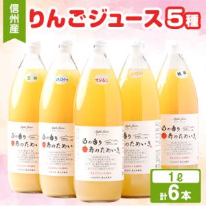 ふるさと納税 高山村 りんごジュース　1000ml×6本(5種類)　信州高山産