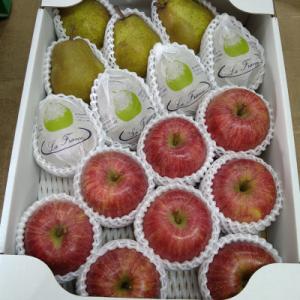 ふるさと納税 南陽市 山形県産　ラ・フランス&amp;完熟ふじりんご　約5kg【S2176】