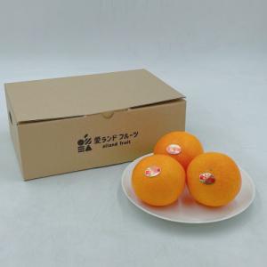 ふるさと納税 松山市 紅まどんな　5〜6個